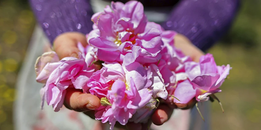 19 Mayıs Özel Lavanta Bahçeleri Salda Gölü Sagalassos ve Pamukkale Turu / 1 Gece Otel Konaklaması