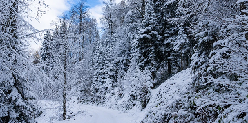 23 Nisan Özel Beypazarı Mudurnu Göynük Turu / 1 Gece Otel Konaklaması