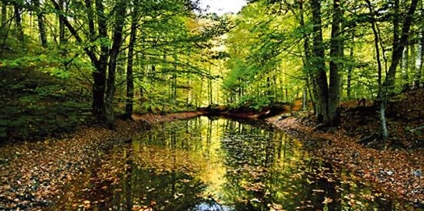 23 Nisan Özel Günübirlik Abant Sapanca Maşukiye Turu