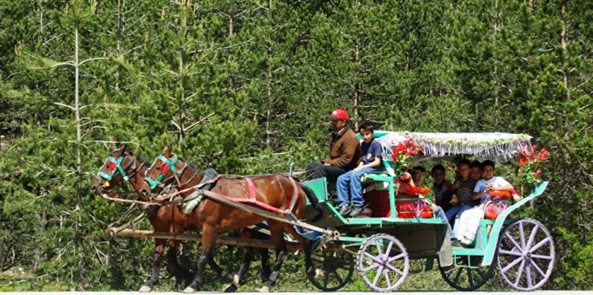 23 Nisan Özel Günübirlik Abant Sapanca Maşukiye Turu