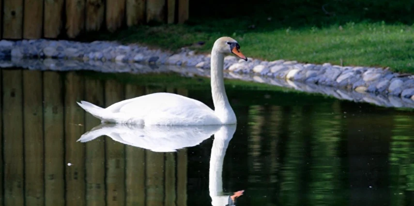 23 Nisan Özel Günübirlik Hobbit Evleri Ormanya Tabiat Parkı Maşukiye Sapanca Turu