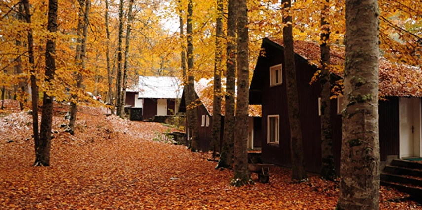 Abant Sapanca Maşukiye Hobbit Evleri Ormanya Turu / 1 Gece Otel Konaklaması