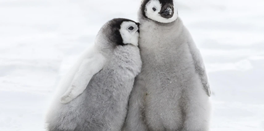 Aborjinlerin Kadim Toprakları Avustralya Turu Thy ile 8 Gece 11 Gün