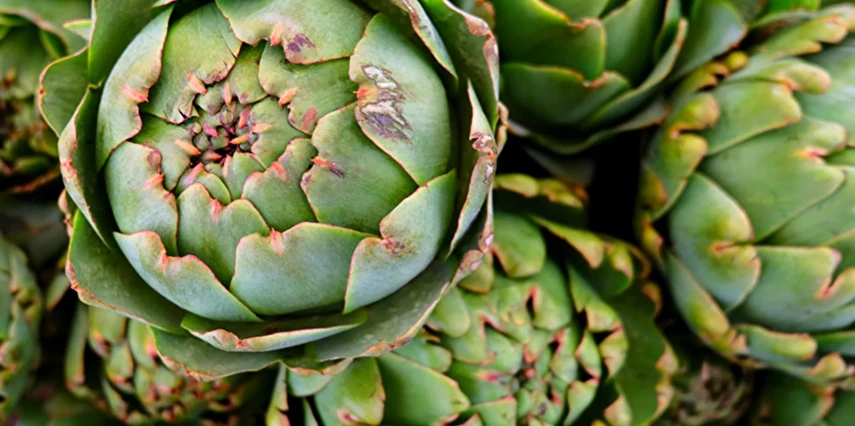 Alaçatı Ot Festivali Turu / Aya Yorgi Hotel By T / 2 Gece Otel Konaklaması İstanbul Bursa Çıkışlı