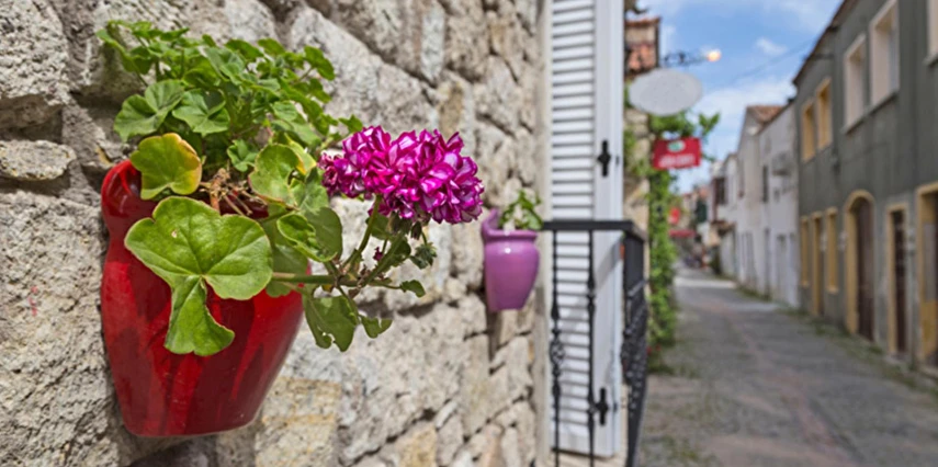 Alaçatı Ot Festivali Turu İstanbul Bursa Çıkışlı / 2 Gece Otel Konaklaması