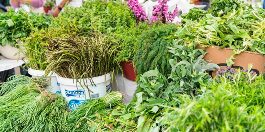 Alaçatı Ot Festivali Turu İstanbul Bursa Çıkışlı / 2 Gece Otel Konaklaması