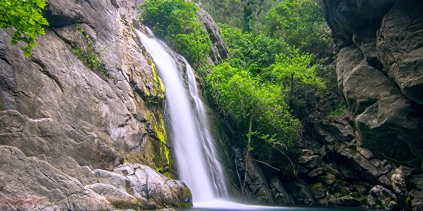 Ayvalık Kazdağları Köyleri Zeytin Hasadı Turu / 1 Gece Otel Konaklaması İstanbul Bursa Çıkışlı