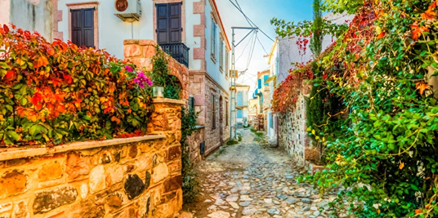 Ayvalık Kazdağları Köyleri Zeytin Hasadı Turu / 1 Gece Otel Konaklaması