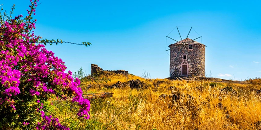 Ayvalık Kazdağları Köyleri Zeytin Hasadı Turu / 1 Gece Otel Konaklaması