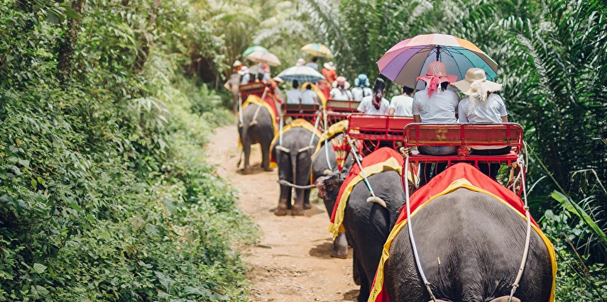 Bangkok -Pattaya - Phuket 7 Gece Ekstra Turlar Dahil Saudi Havayolları İle Sömestre Özel