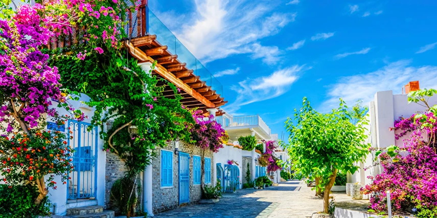 Bodrum Acı Ot Festivali Turu / 1 Gece Otel Konaklaması İstanbul Bursa İzmir Çıkışlı