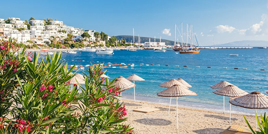 Bodrum Acı Ot Festivali Turu / 1 Gece Otel Konaklaması İstanbul Bursa İzmir Çıkışlı