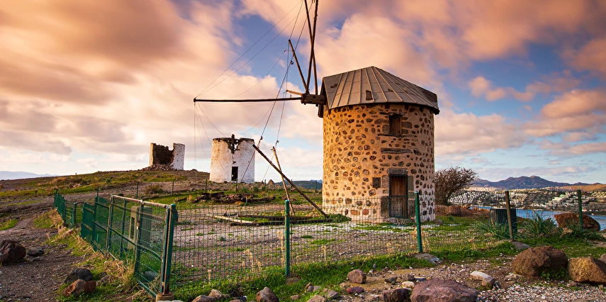 Bodrum Acı Ot Festivali Turu / 1 Gece Otel Konaklaması İstanbul Bursa İzmir Çıkışlı