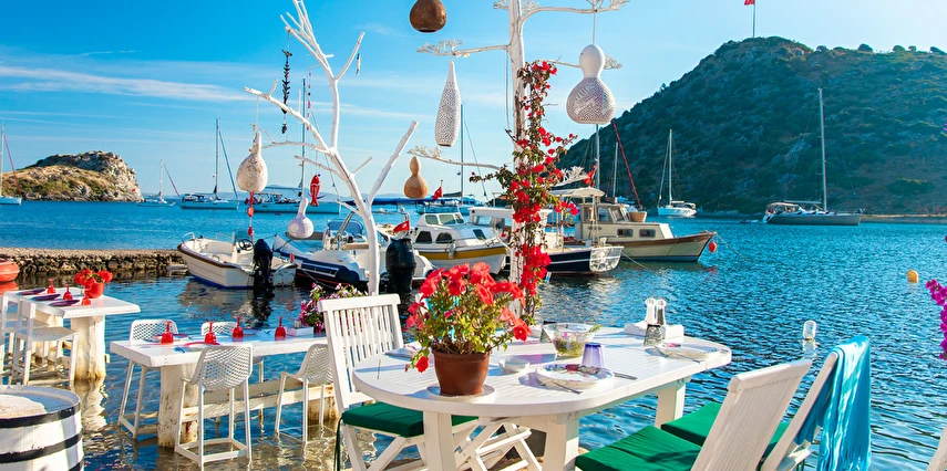 Bodrum Acı Ot Festivali Turu / 1 Gece Otel Konaklaması İstanbul Bursa İzmir Çıkışlı