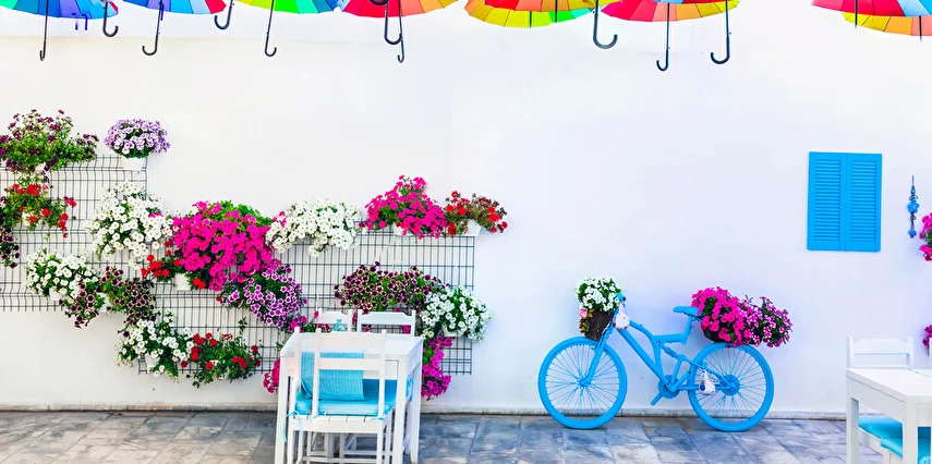 Bodrum Acı Ot Festivali Turu / 1 Gece Otel Konaklaması İstanbul Bursa İzmir Çıkışlı