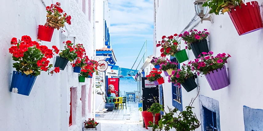 Bodrum Acı Ot Festivali Turu / 1 Gece Otel Konaklaması İstanbul Bursa İzmir Çıkışlı