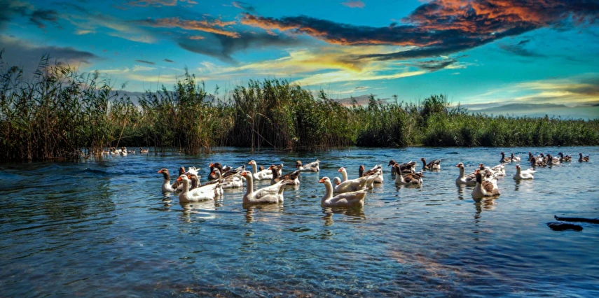 Bodrum Bodrum Turu / 3 Gece Otel Konaklaması İstanbul Bursa İzmir Çıkışlı