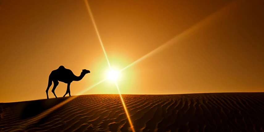 Dubai Turu 3 Gece AJet Havayolları İle Dubai İkonları Şehir Turu ve Vize Dahil