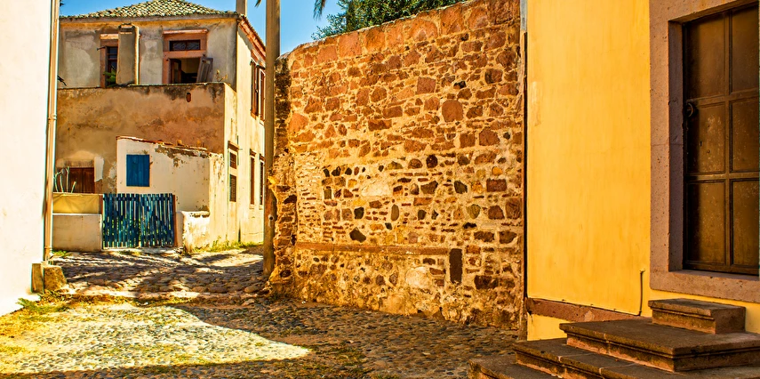 Edremit Zeytinyağı Tadım Festivali Turu / 1 Gece Otel Konaklaması İstanbul Bursa Çıkışlı