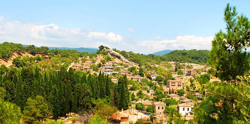 Edremit Zeytinyağı Tadım Festivali Turu / 1 Gece Otel Konaklaması İstanbul Bursa Çıkışlı