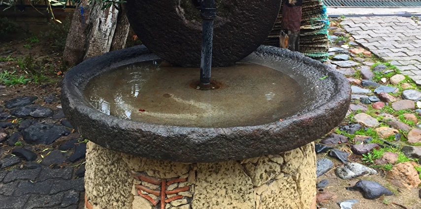 Edremit Zeytinyağı Tadım Festivali Turu / 1 Gece Otel Konaklaması İstanbul Bursa Çıkışlı