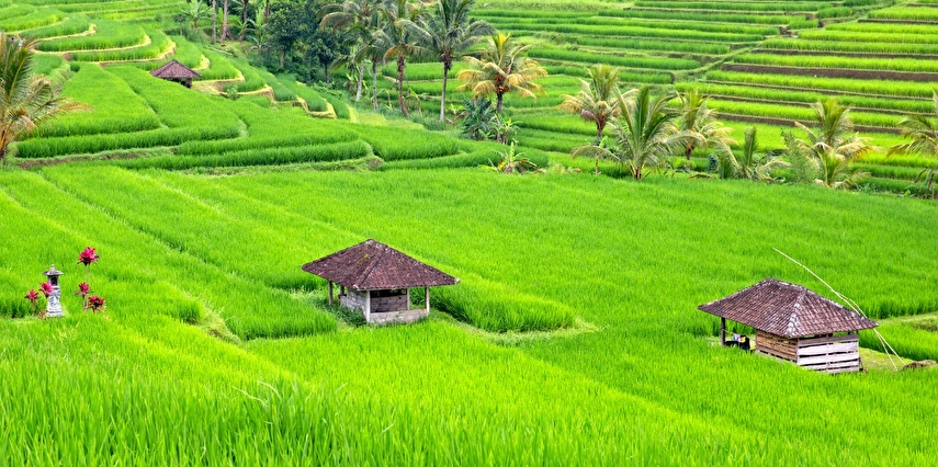 Egzotik Bali | Singapore Airlines ile 5 Gece
