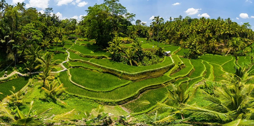 Egzotik Bali | Singapore Airlines ile 5 Gece