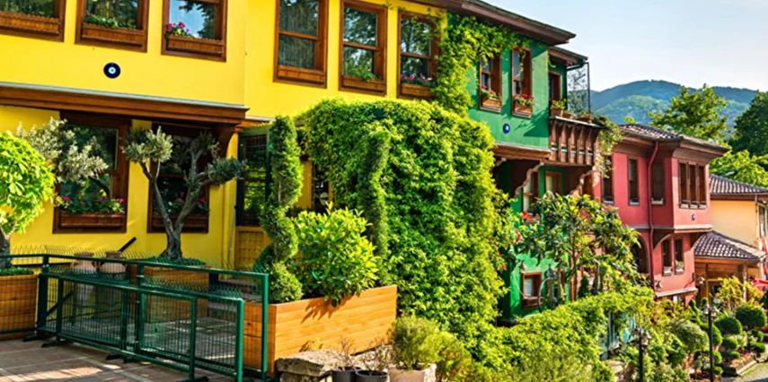Eskişehir Odunpazarı Bursa Gölyazı Uluabat Gölü Cumalıkızık Turu / 1 Gece Otel Konaklaması