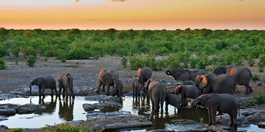 Gold Afrika Keşfi Güney Afrika Zimbabve Botsvana Turu Thy ile 7 Gece 10 Gün Cpt-jnb