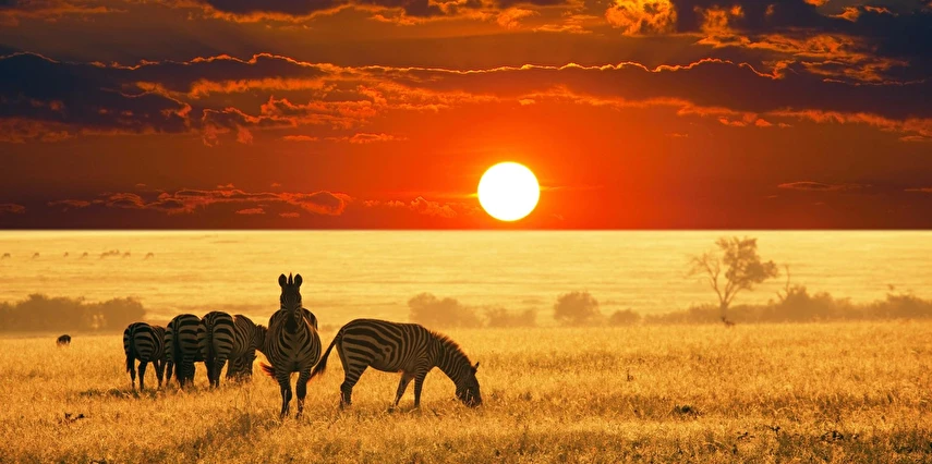 Gold Afrika Keşfi Güney Afrika Zimbabve Botsvana Turu Thy ile 7 Gece 10 Gün Cpt-jnb