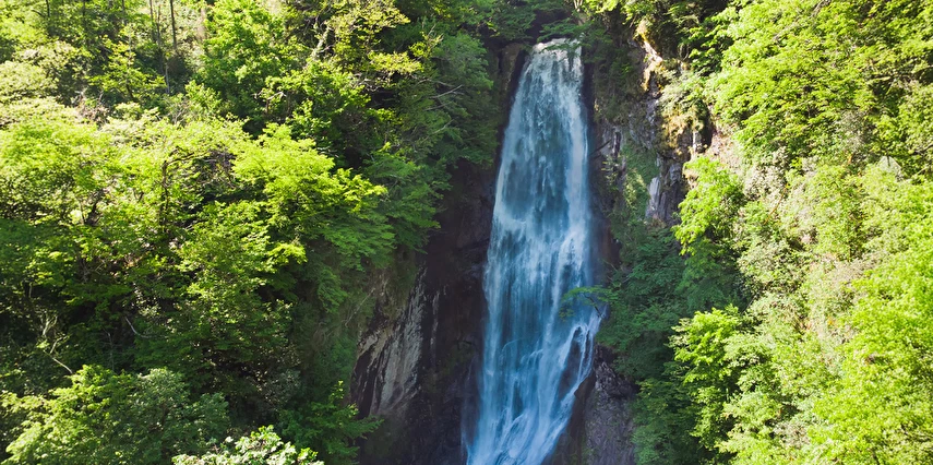Görkemli Batum Turu Thy ile 3 Gece 4 Gün İlkbahar Dönemi (ATS001)