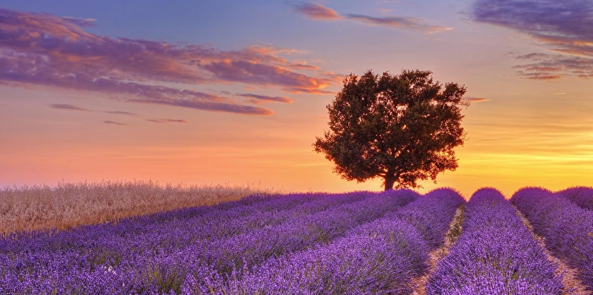 Görkemli Dörtlü Benelüx Fransa Almanya İsviçre Turu Thy ile 7 Gece 8 Gün BSL - DUS 2026 Yaz Dönemi (ATS001)