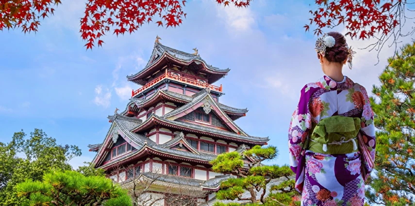Grand Japonya Kore Turu Türk Havayolları ile NRT - ICN