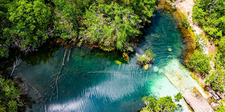 Grande Amazonas Turu Türk Hava Yolları ile 10 Gece 12 Gün (EJ001)