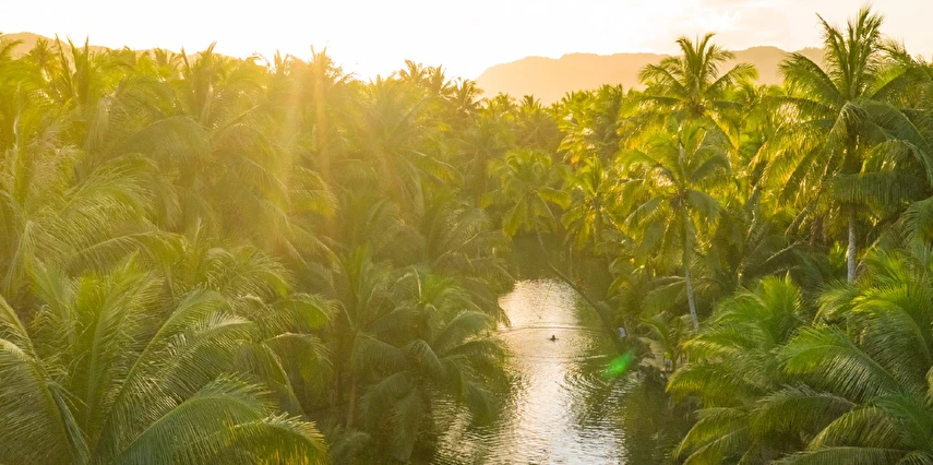 Grande Amazonas Turu Türk Hava Yolları ile 10 Gece 12 Gün (EJ001)