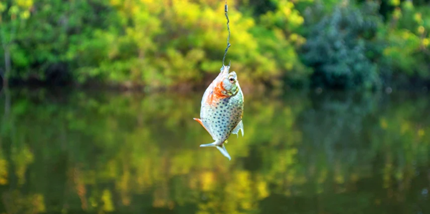 Grande Amazonas Turu Türk Hava Yolları ile 10 Gece 12 Gün (EJ001)