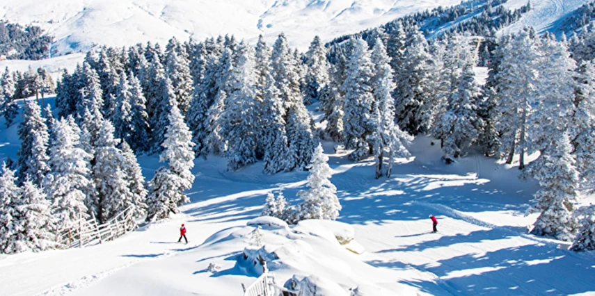 Günübirlik Uludağ Kayak Turu