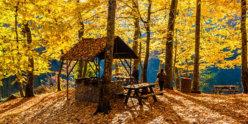 Günübirlik Yedigöller Turu 