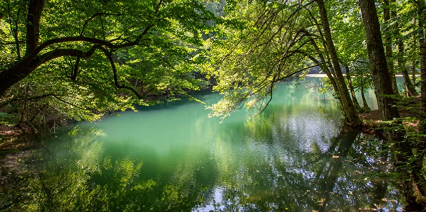 Günübirlik Yedigöller Turu 