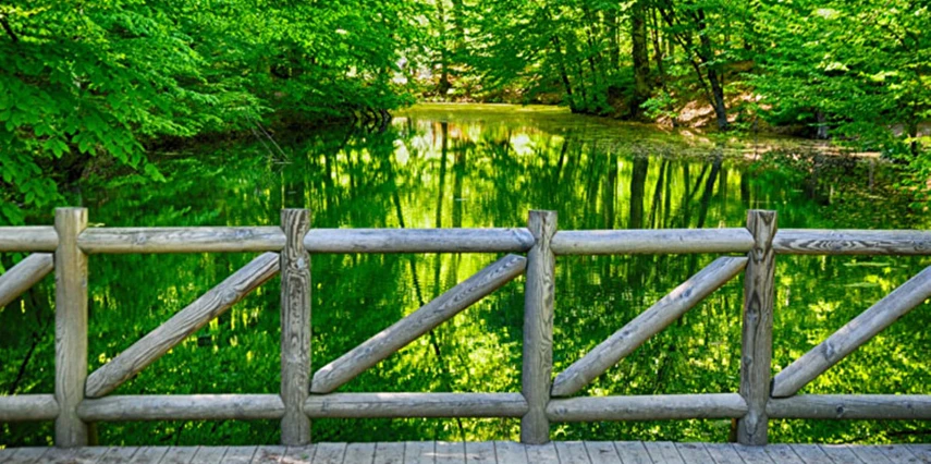 Günübirlik Yedigöller Turu 