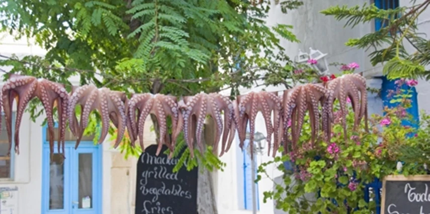 Halkidiki Yüzme Turu 3 Gece 5 Gün Konaklama (MT001)