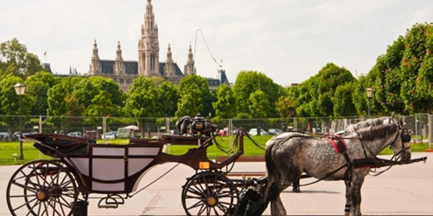 Hallstatt Salzburg Viyana Bled Turu Thy ile 3 Gece 4 Gün (IS001)
