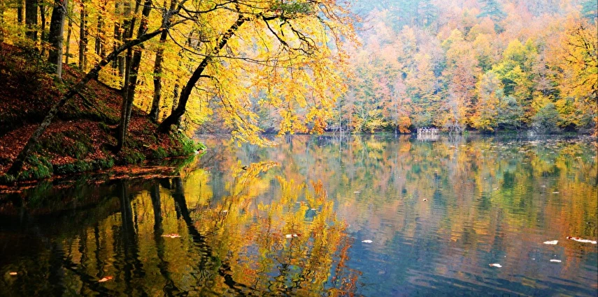 Kasım Ara Tatil Özel Günübirlik Yedigöller Turu