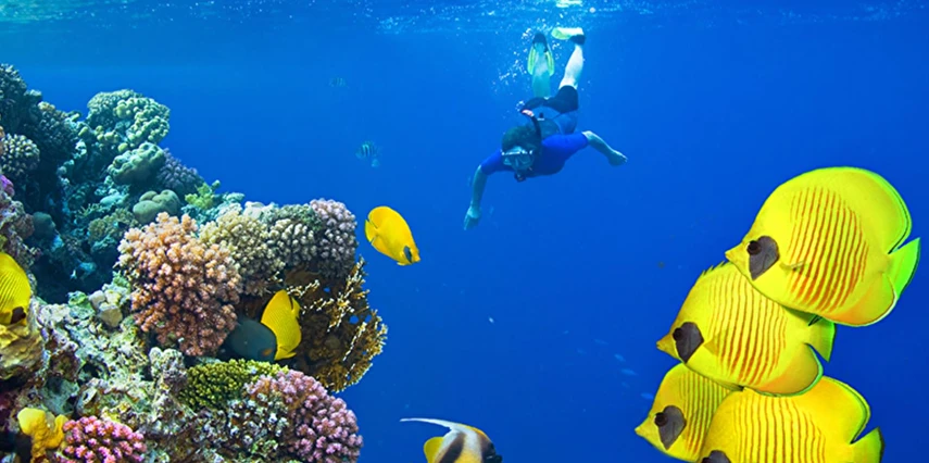 Kızıldeniz Akvaryumu Sharm El Sheikh Turu Thy ile 7 Gece 8 Gün