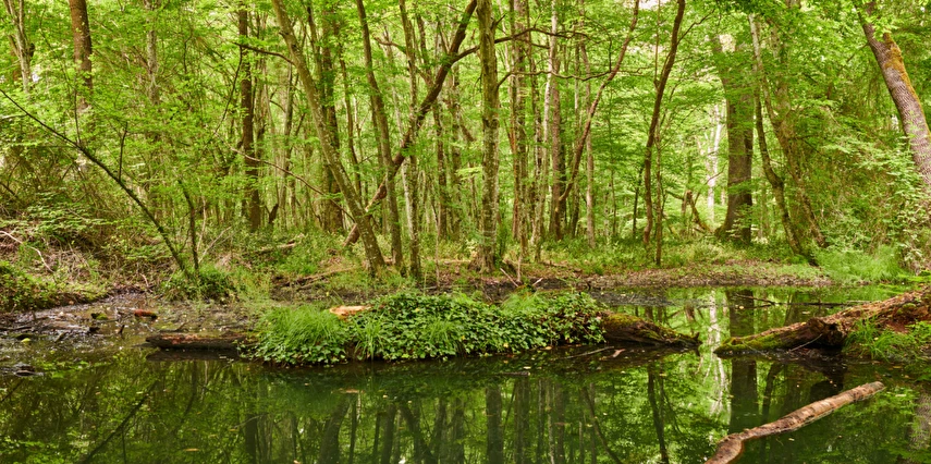 Kurban Bayramı Özel Edirne Kıyıköy İğneada Turu / 1 Gece Otel Konaklaması
