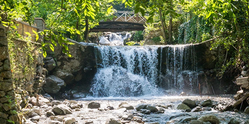 Kurban Bayramı Özel Günübirlik Hobbit Evleri Ormanya Tabiat Parkı Maşukiye Sapanca Turu