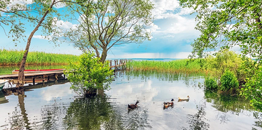 Kurban Bayramı Özel Günübirlik Hobbit Evleri Ormanya Tabiat Parkı Maşukiye Sapanca Turu
