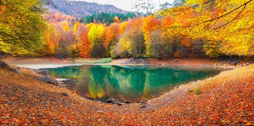 Kurban Bayramı Özel Günübirlik Yedigöller Turu