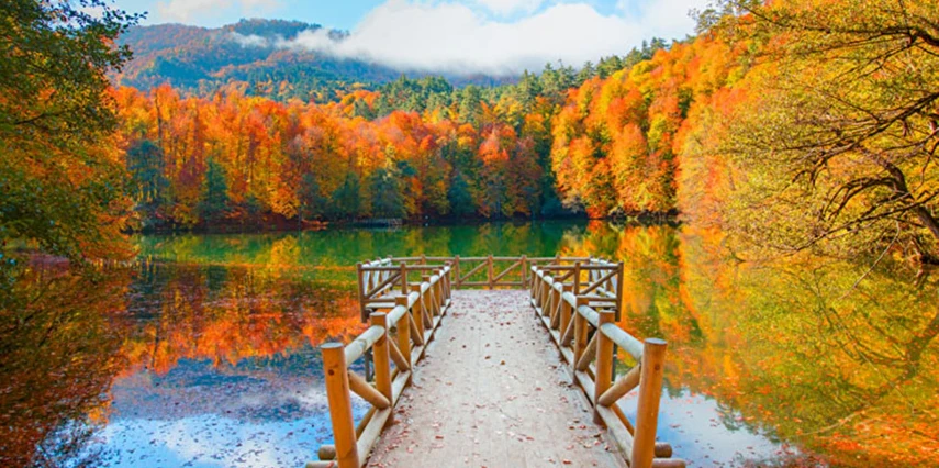Kurban Bayramı Özel Günübirlik Yedigöller Turu