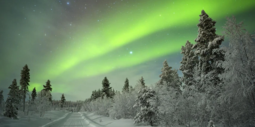 Lapland Kuzey Işıkları Murmansk & St. Petersburg & Moskova Turu Ajet ile 5 Gece Vize Dahil